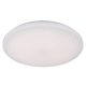 LED Mennyezeti lámpa 12W 900lm Természetes fehér 4000K - LC751S