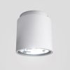 EX 111 henger alakú mennyezeti lámpa ezüstszürke  230V/12V G53 50W