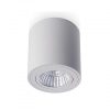 MAYO R mennyezeti forgatható lámpa fehér 230V LED 9W 36° 2700K