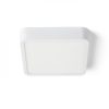 HUE SQ 17 mennyezeti lámpa fehér 230V LED 18W 3000K