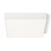 LARISA SQ 30 mennyezeti lámpa fehér 230V LED 30W 3000K