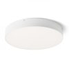 LARISA R 40 mennyezeti lámpa fehér 230V LED 50W 3000K