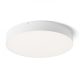 LARISA R 40 mennyezeti lámpa fehér 230V LED 50W 3000K