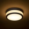 CIRA LED 23 mennyezeti lámpa opál üveg/fekete 230V LED 12W IP44 3000K